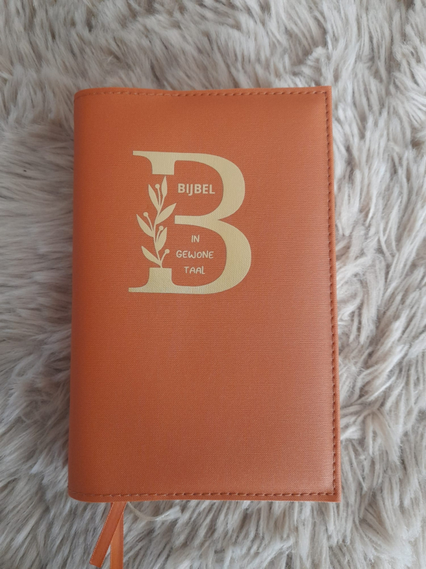 Bijbelhoes Silverguard Terra - Afbeelding 2