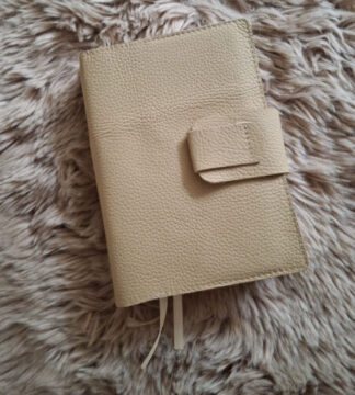 BGT 18,8x 29.3: Bijbelhoes leer Champagne