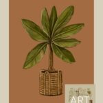 Bananenplant