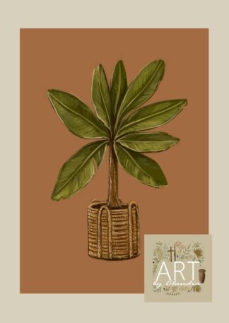 Bananenplant