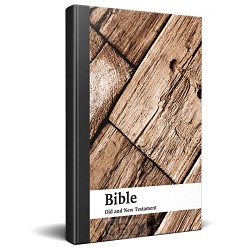 Engelse bijbel NIV